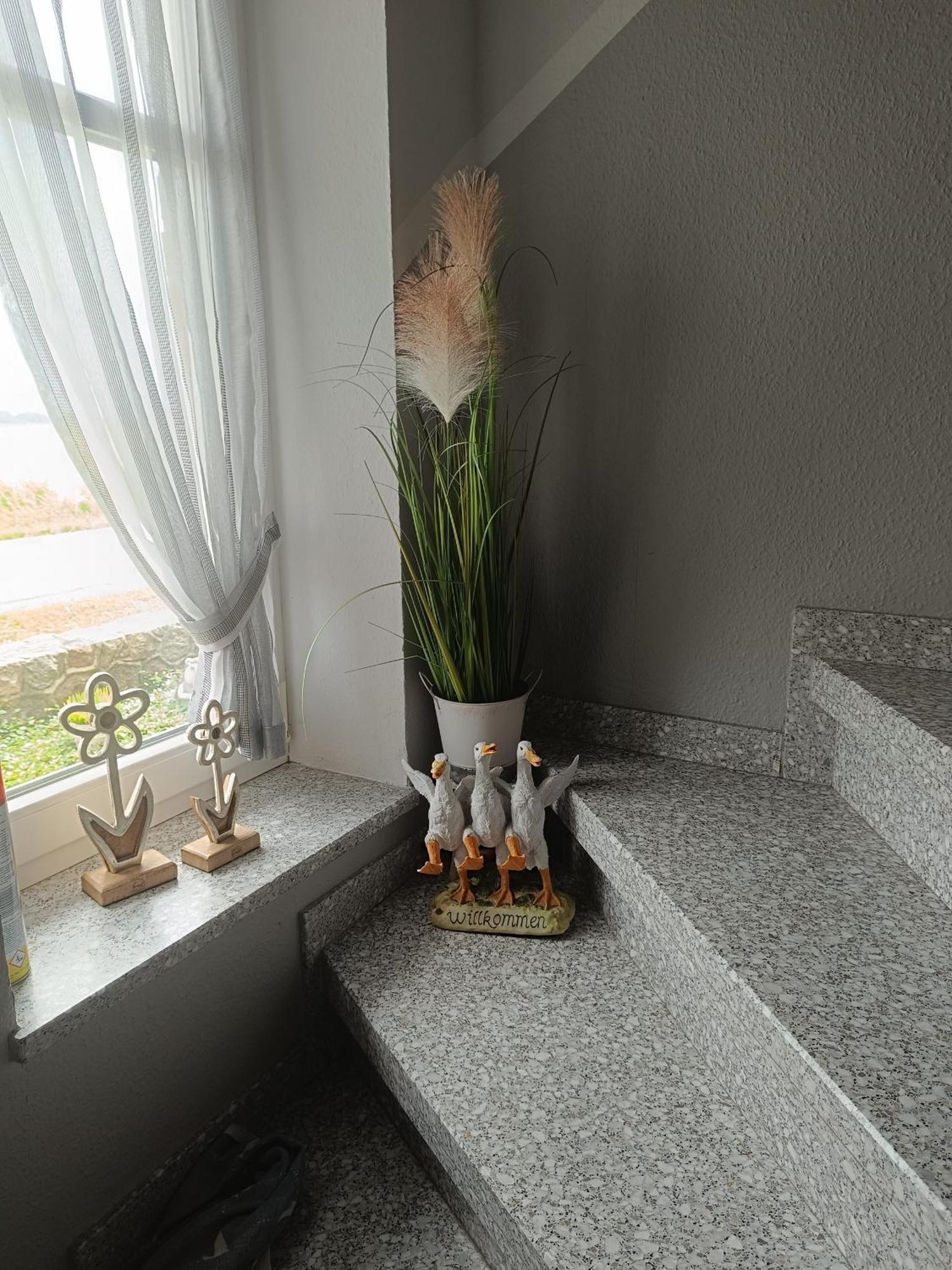 Apartamento Marschblick Sudermarsch Exterior foto